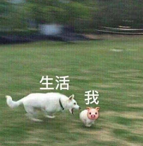 神经系统,吓死人了 神经系统,吓死人了