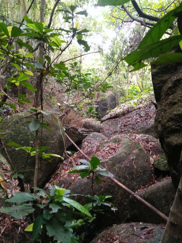 风景。,风景,风景,风景ðŸŽ,soul民政局,风景 风景。,风景,风景,风景ðŸŽ,soul民政局,风景