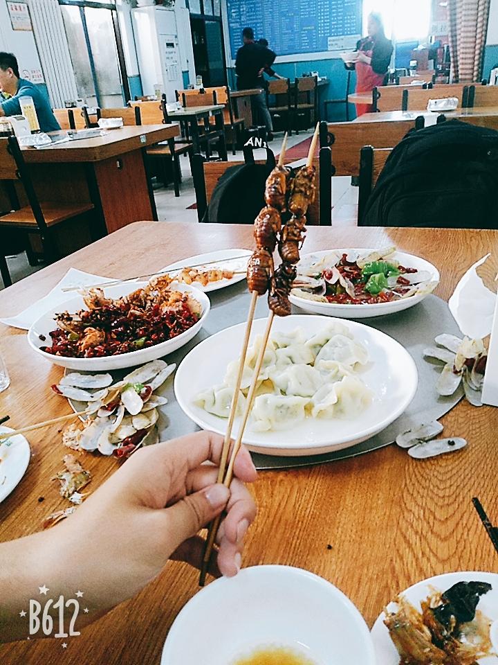榛子,狗粮博主! 榛子,狗粮博主!