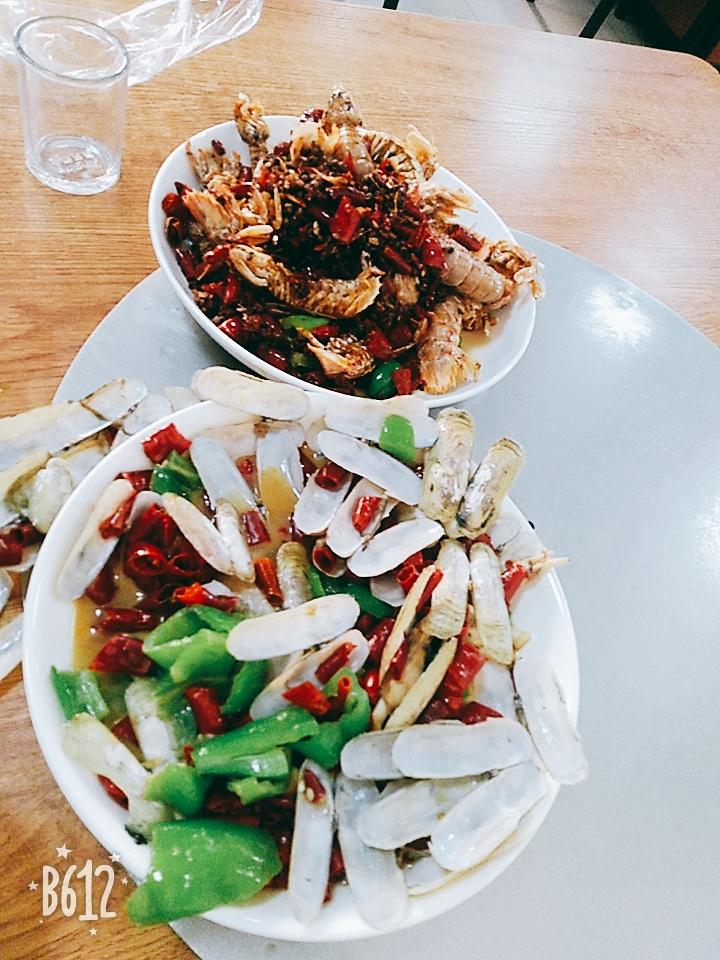 榛子,狗粮博主! 榛子,狗粮博主!