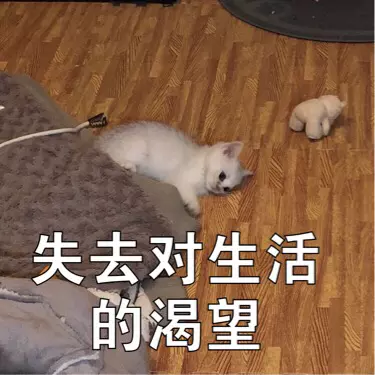 同学都结婚生子了我还是个单身狗 同学都结婚生子了我还是个单身狗