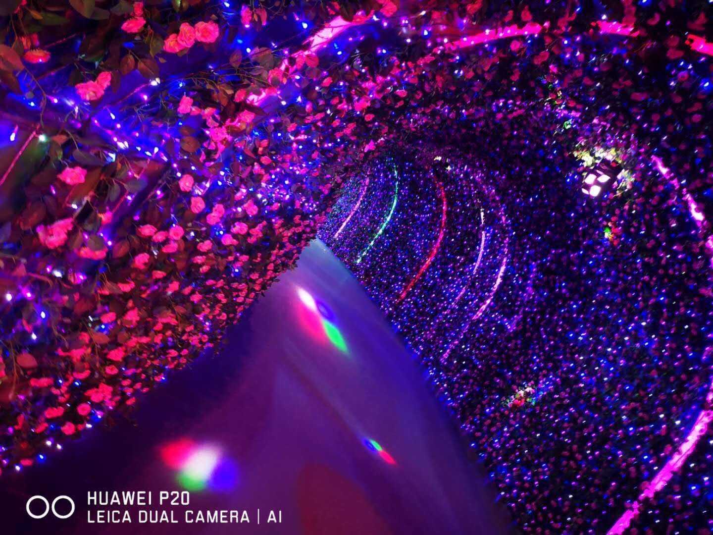 孤独的快乐 孤独的快乐