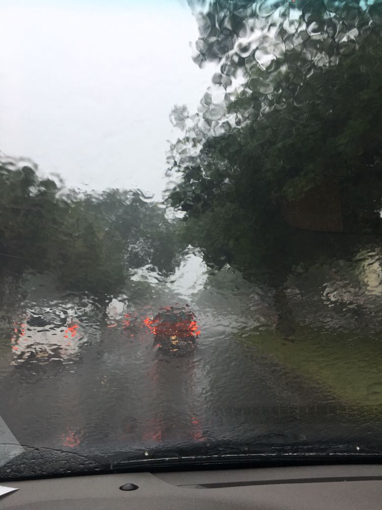 Florida,Orlando,佛罗里达,奥兰多,下雨天