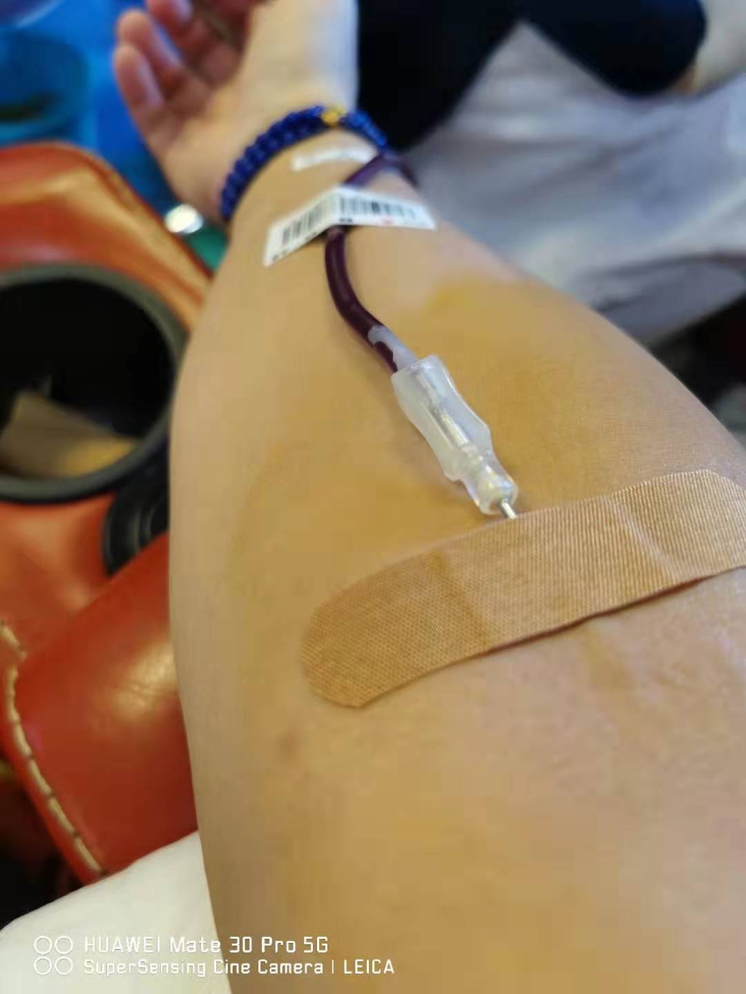 献血打卡,熊猫血,献血
