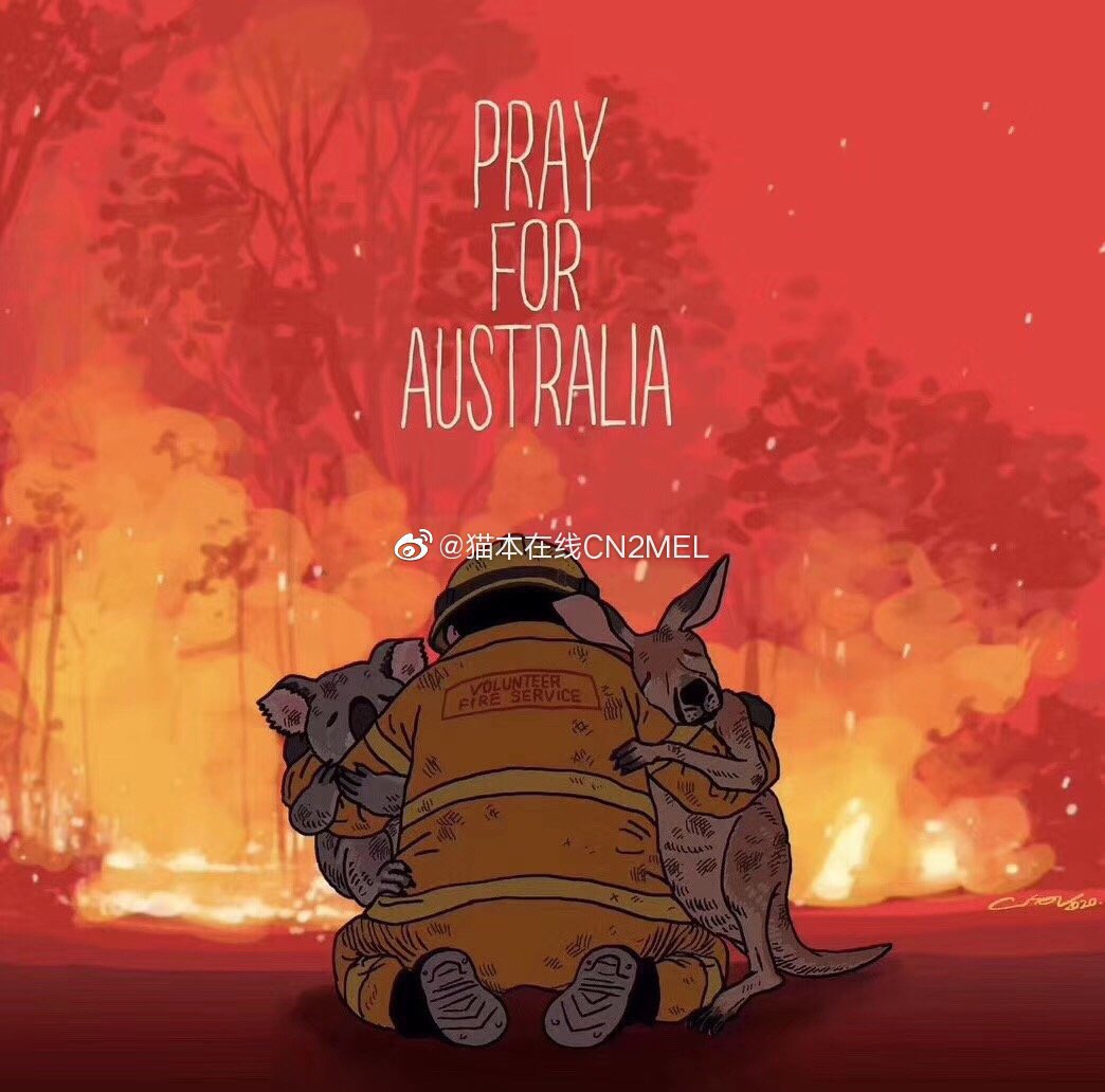澳洲山火,祈福🙏🏻,袋鼠,考拉🐨