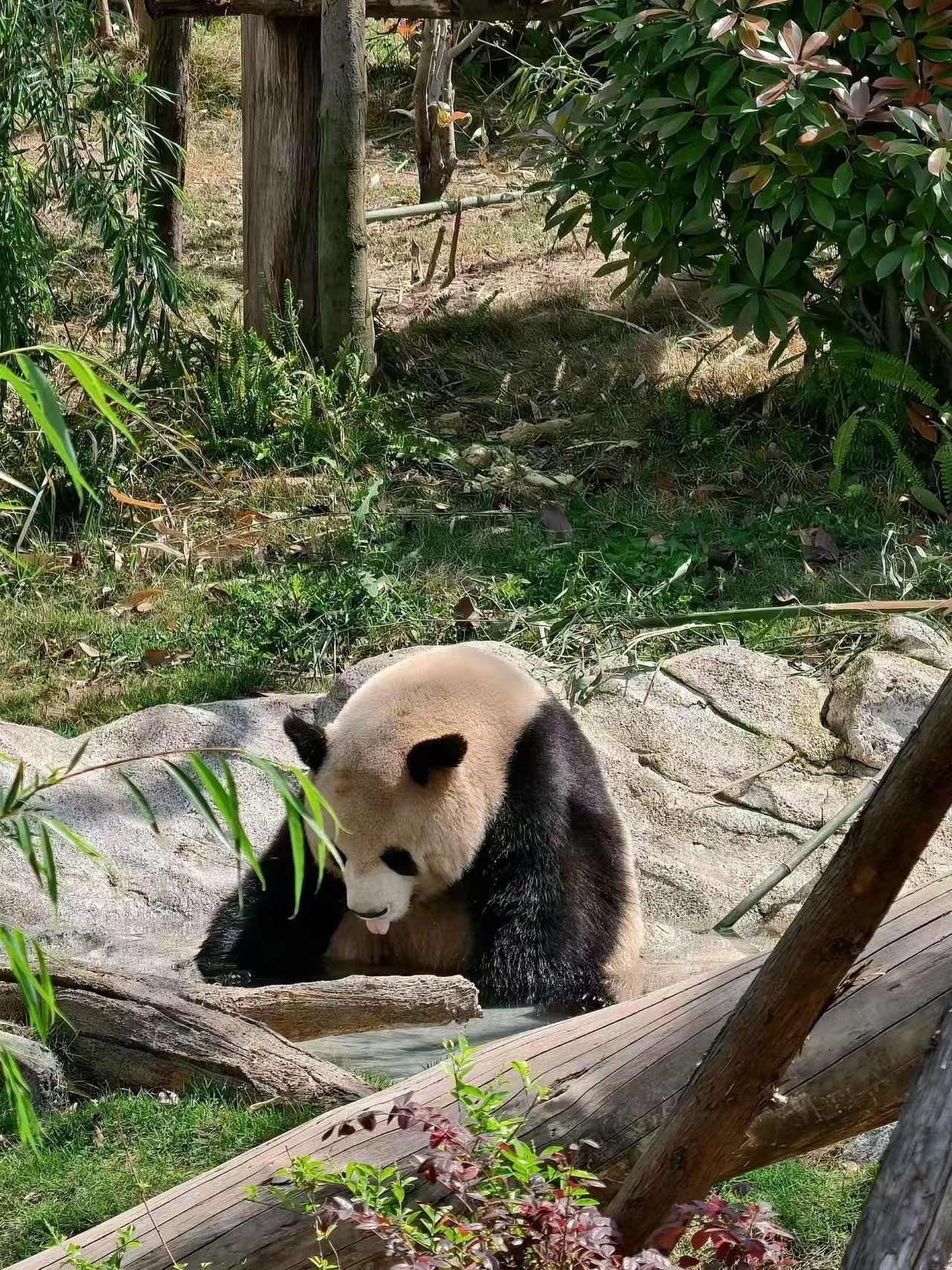 图片附件